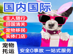 平潭航空物流国际宠物托运 【国